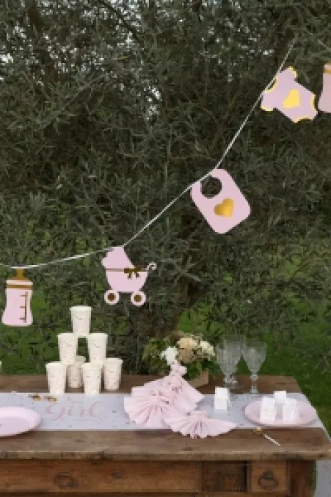 Baby Girl banner