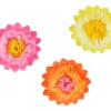 Blomster pompom