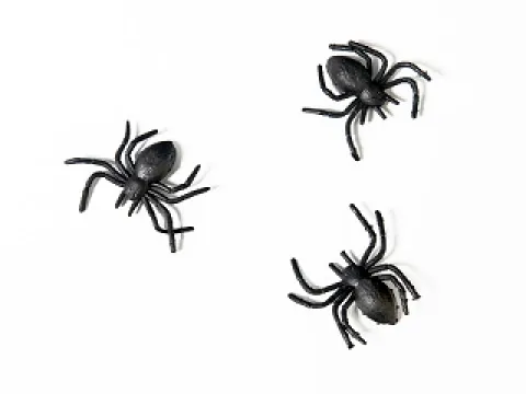 Edderkopper 2,5x3 cm, 10 stk