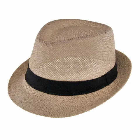 Fedora hat i strå