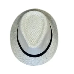 Fedora hat i strå