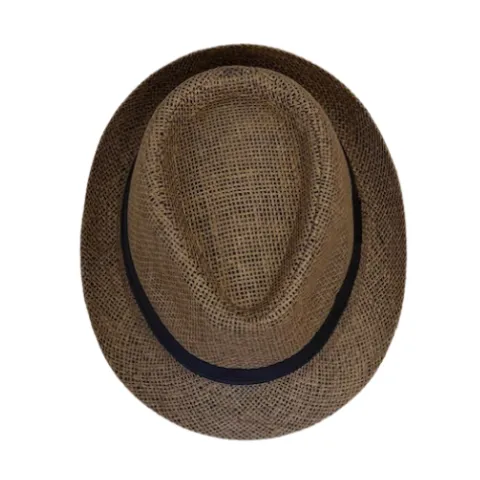 Fedora hat i strå