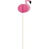 Flamingo picks