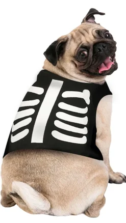 Halloween Hundedragt som skelet