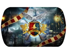 Harry Potter Fad -magic school