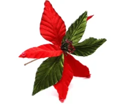 Julestjerne blomst på stilk