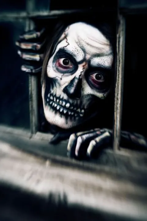 Linser Sort the dark eye