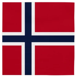 Norge flag serviet