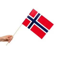 Papirflag på pind 10 stk - Norge