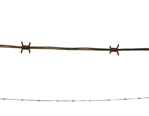 Pigtrådssnor