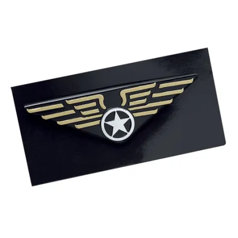 Pilot badge på nål