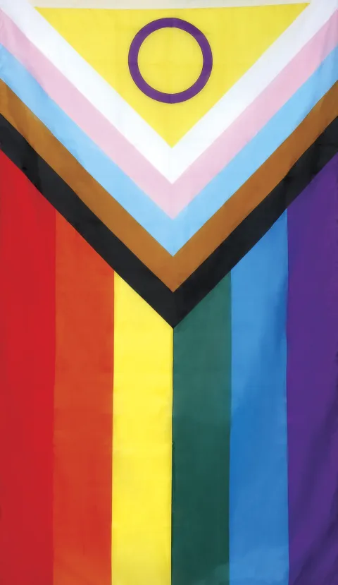 Pride flag LGBTQI+
