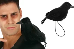 Ravn til skulder