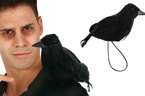 Ravn til skulder