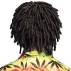 Reggae Paryk - Ruud Gullit