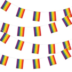 Regnbue Flagbanner i plast