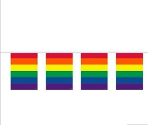 Regnbue Flag guirlande, plast 20x30 cm,10 mtr. 15 flag