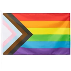 Regnbue flag - Progress 90x150