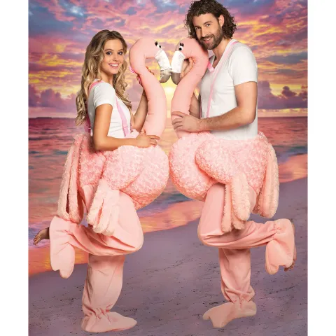 Rid på Flamingo kostume