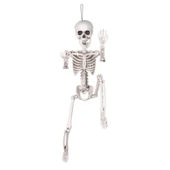 Skelet 60 cm - Position