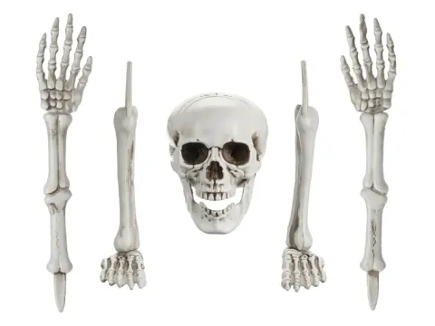 Skelet dekoration 5 dele
