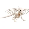 Skelet Drage