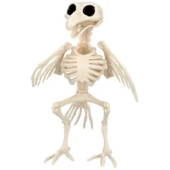 Skelet - Ravn