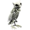 Skelet - Ugle
