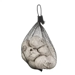 Små Kranier