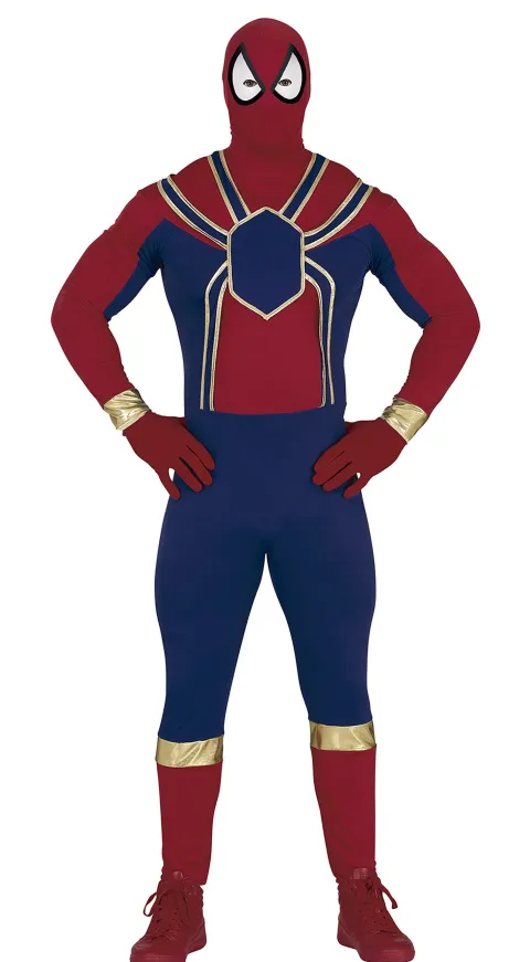 Spider hero