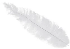 Strudsefjer Hvide 12 stk 40 cm