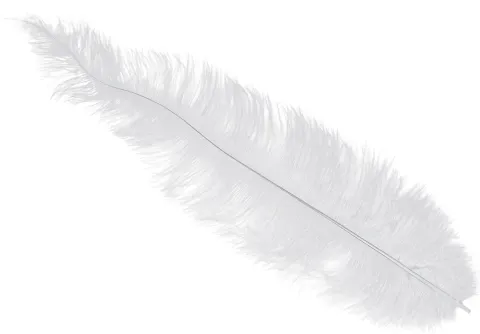 Strudsefjer Hvide 12 stk 40 cm