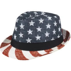 USA hat