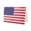 USA karton 10stk
