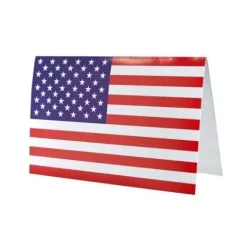 USA karton 10stk