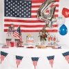 USA tallerken - American Party