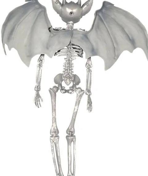 Vampyr skelet med vinger
