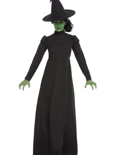Wicked Witch kostume