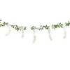 Wisteria guirlande