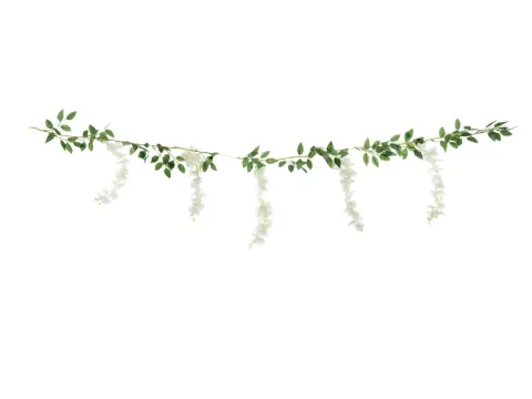 Wisteria guirlande