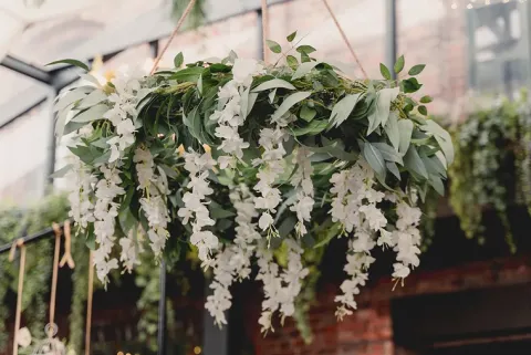 Wisteria guirlande